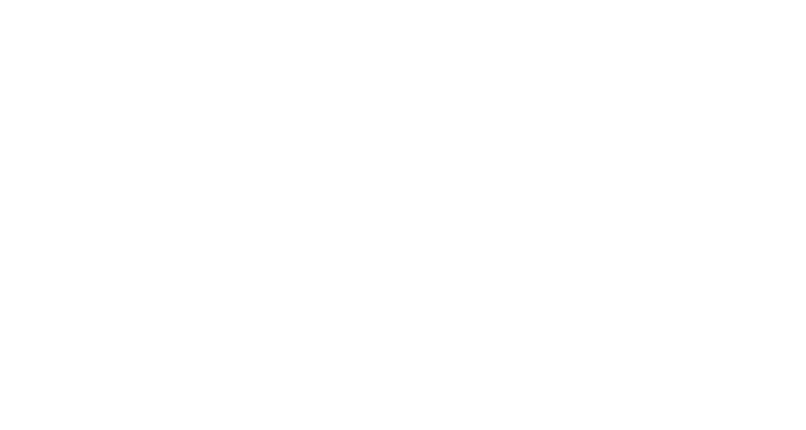 Prosafe Asset Manager